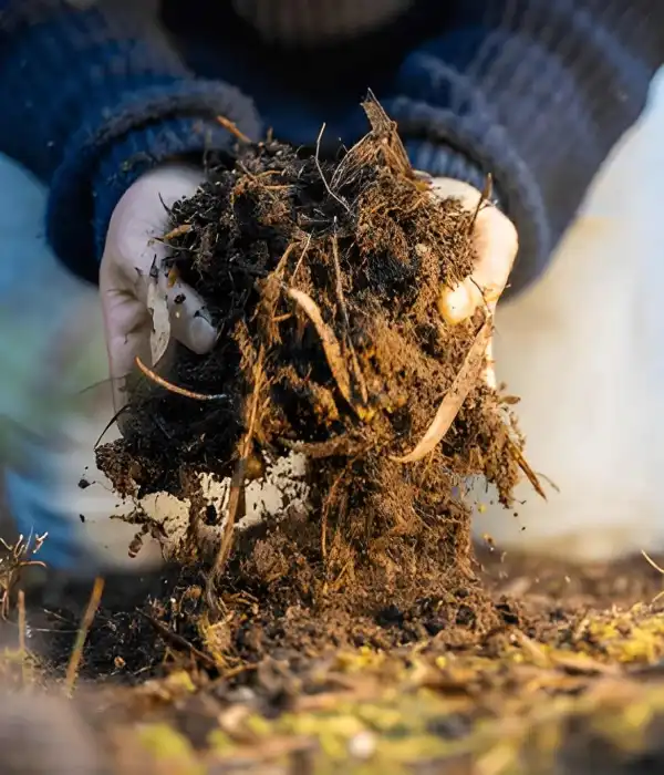 Europaille Engrais Organique A Orleans Engrais Ormanique Europaille Engrais Organique A Orleans Engrais Ormanique