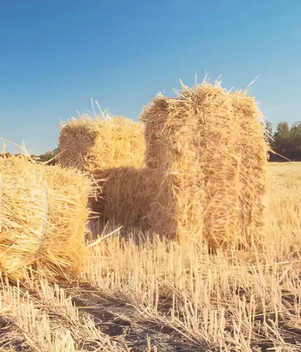 Europaille Engrais Organique A Orleans Vente De Paille Europaille Engrais Organique A Orleans Vente De Paille